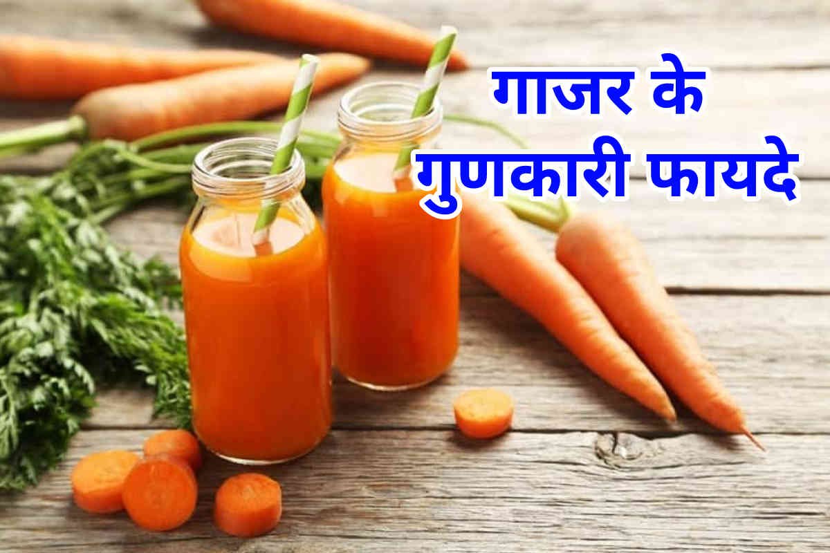 Gajar Ke Gunkari Fayde Aur Upyog, गाजर के खाने से होने वाले फायदे के बारे में जाने सभी जानकारी